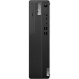 Lenovo ThinkCentre M70s Gen 5 (12U8001NGE), PC-System schwarz, Windows 11 Pro 64-Bit