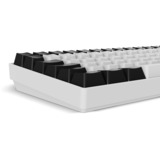 Sharkoon SKILLER SGK50 S2, Gaming-Tastatur weiß, DE-Layout, Gateron Brown