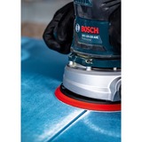 Bosch Expert C470 Schleifblatt, Ø 125mm, K80 Multilochung 50 Stück, für Exzenterschleifer