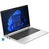 HP ProBook 440 G10 (9V1L6AT), Notebook silber, Windows 11 Pro 64-Bit, 35.6 cm (14 Zoll), 512 GB SSD