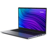 Medion E17423 (MD62657), Notebook grau, Windows 11 Home 64-Bit, 43.9 cm (17.3 Zoll), 512 GB SSD