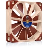 Noctua NF-F12 PWM, Gehäuselüfter hellbraun, Retail, 120 mm