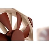 Noctua NF-F12 PWM, Gehäuselüfter hellbraun, Retail, 120 mm