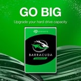 Seagate BarraCuda 6 TB, Festplatte SATA 6 Gb/s, 3,5"