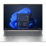 HP ProBook 460 G11 (9C0C4EA), Notebook silber, Windows 11 Pro 64-Bit, 40.6 cm (16 Zoll), 256 GB SSD