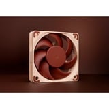 Noctua NF-A6x15 PWM, Gehäuselüfter 60 mm