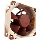 Noctua NF-A6x25 FLX, Gehäuselüfter braun/weiß, 60 mm