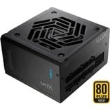 FSP VITA GM 850W, PC-Netzteil schwarz, 850 Watt