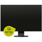 Flexscan EV2456-BK Generalüberholt, LED-Monitor