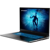 Medion ERAZER Defender P50 (MD62616), Gaming-Notebook schwarz, Windows 11 Home 64-BIt, 43.9 cm (17.3 Zoll) & 144 Hz Display, 2 TB (1 TB SSD & 1 TB SSD)