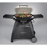 Weber Gasgrill Q 3000 Titan schwarz/titan