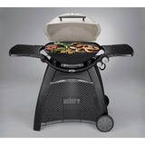 Weber Gasgrill Q 3000 Titan schwarz/titan