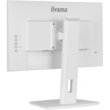 iiyama ProLite XUB2292HSU-W6, LED-Monitor 55 cm (22 Zoll), weiß (matt), FullHD, IPS, AMD Free-Sync, 100Hz Panel