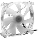 Sharkoon SHARK Disc PWM RGB Fan, Gehäuselüfter transparent, 120 mm