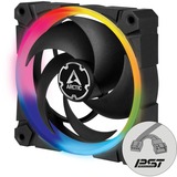 Arctic BioniX P120 A-RGB, Gehäuselüfter schwarz