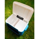 Coleman 50QT Poly-lite Wheeled Mesh Kühlbox blau/weiß