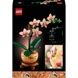 LEGO 10343 Botanicals Mini-Orchidee, Konstruktionsspielzeug 