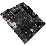 Biostar A520MT, Mainboard schwarz