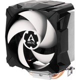 Arctic Freezer 7 X, CPU-Kühler 