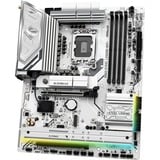 ASRock B860 Steel Legend WiFi, Mainboard 