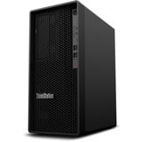 Lenovo ThinkStation P2 Tower (30FR004SGE), PC-System schwarz, Windows 11 Pro 64-Bit