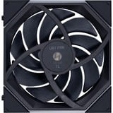 Lian Li UNI FAN TL140, Gehäuselüfter schwarz, 144 mm