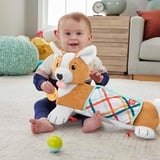 Fisher-Price 3-in-1 Hündchen Spielkissen, Kuscheltier 