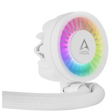 Arctic Liquid Freezer III 280 A-RGB, Wasserkühlung weiß