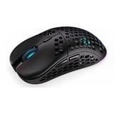 ENDORFY LIX Wireless, Gaming-Maus schwarz