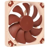 Noctua NF-A9x14 PWM, Gehäuselüfter braun/weiß, 92 mm