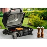 Ninja Elektrogrill & Smoker Woodfire OG701EU schwarz/grau, 2.400 Watt