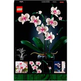 LEGO 10311 Icons Orchidee, Konstruktionsspielzeug 