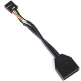 SilverStone USB 2.0 Adapter G11303050-RT, 9Pin Buchse > 19Pin Stecker schwarz, 10cm