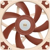 Noctua NF-A12x15 FLX, Gehäuselüfter 120 mm