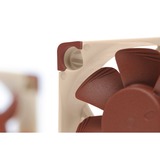 Noctua NF-A4x10 5V PWM, Gehäuselüfter 