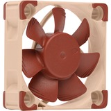 Noctua NF-A4x10 PWM, Gehäuselüfter 