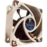 Noctua NF-A6x25 FLX, Gehäuselüfter braun/weiß, 60 mm