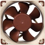 Noctua NF-A6x25 PWM, Gehäuselüfter 60 mm