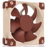 Noctua NF-A8 5V PWM, Gehäuselüfter 80 mm