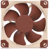 Noctua NF-A8 5V PWM, Gehäuselüfter 80 mm