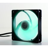 Scythe Kaze Flex PWM RGB 1800 120x120x27, Gehäuselüfter schwarz/transparent