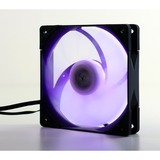 Scythe Kaze Flex PWM RGB 1800 120x120x27, Gehäuselüfter schwarz/transparent