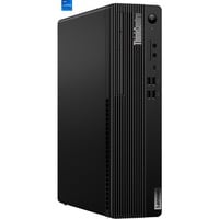 Lenovo ThinkCentre M70s Gen 5 (12U8005NGE), PC-System schwarz, Windows 11 Pro 64-Bit