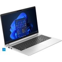 HP EliteBook 650 G10 (9V1L9AT), Notebook silber, Windows 11 Pro 64-Bit, 39.6 cm (15.6 Zoll), 512 GB SSD