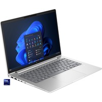 HP EliteBook 640 G11 (9C0G3EA), Notebook silber, Windows 11 Pro 64-Bit, 35.6 cm (14 Zoll), 256 GB SSD