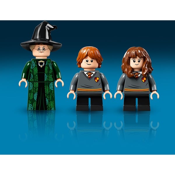 LEGO 76382 Harry Potter Hogwarts Moment: Verwandlungsunterricht ...